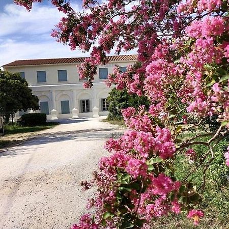 Hotel Le Floreal Le Soler エクステリア 写真