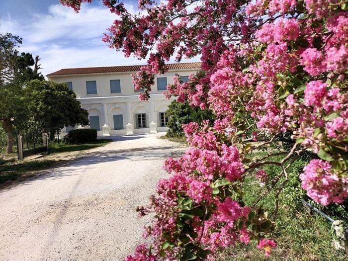 Hotel Le Floreal Le Soler エクステリア 写真